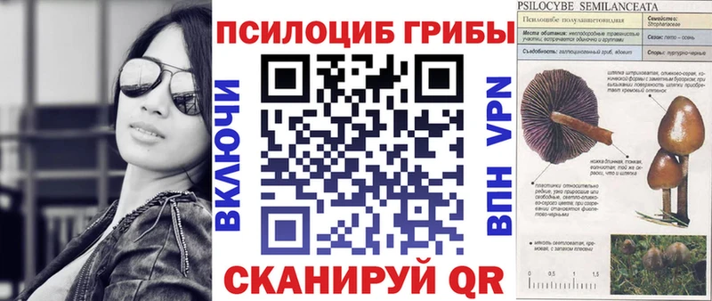 Псилоцибиновые грибы ЛСД Лебедянь